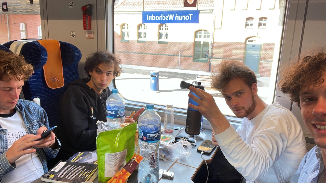 Bison on the train